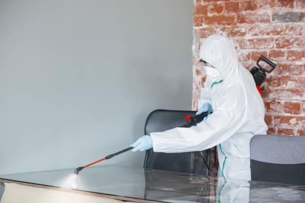 Best Mold Remediation for Healthcare Facilities  in USA